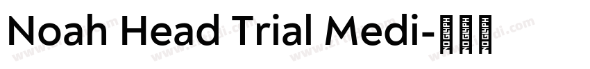 Noah Head Trial Medi字体转换